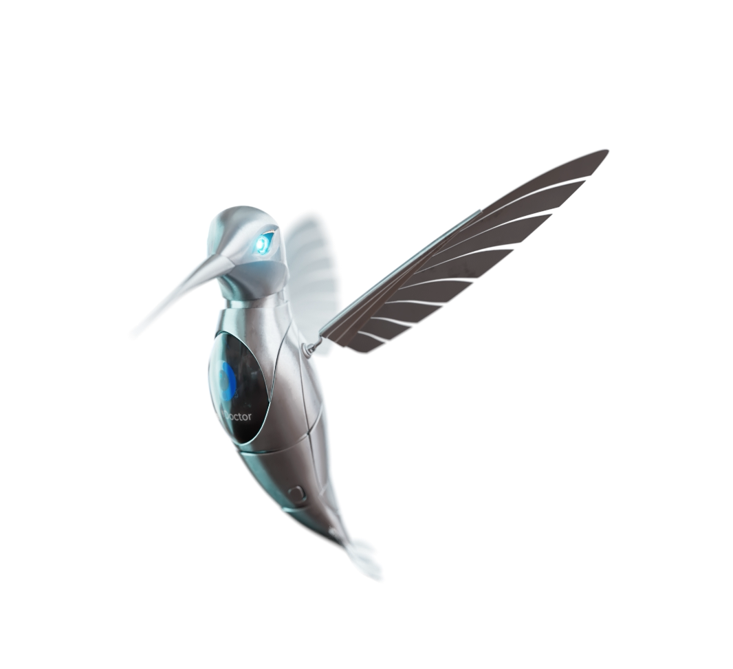 bird-img