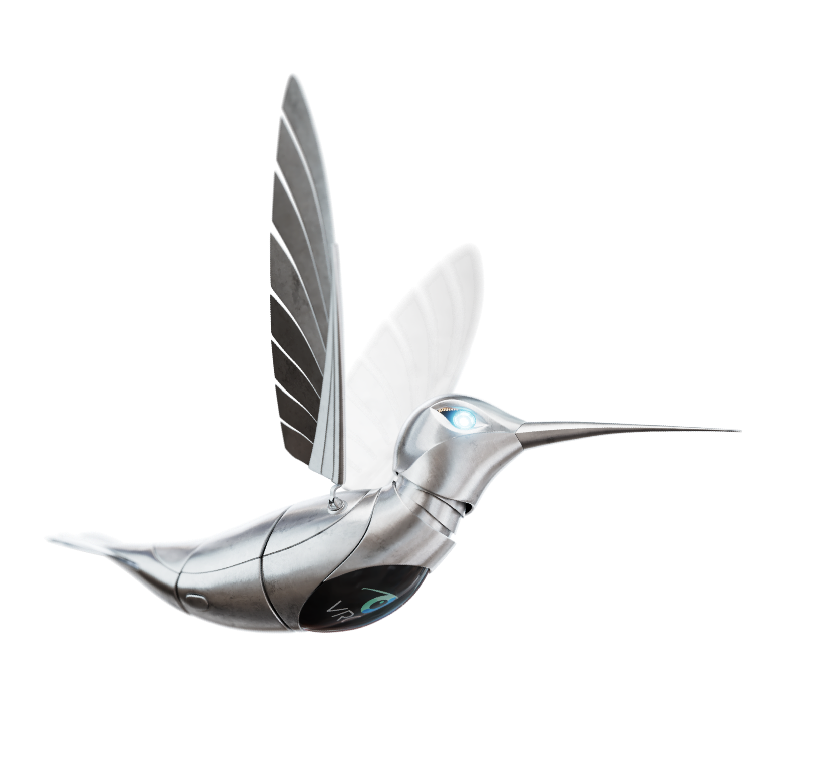 bird-img